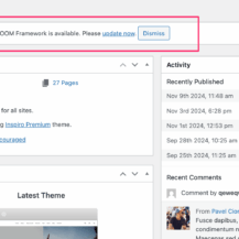 How to update the WPZOOM Framework