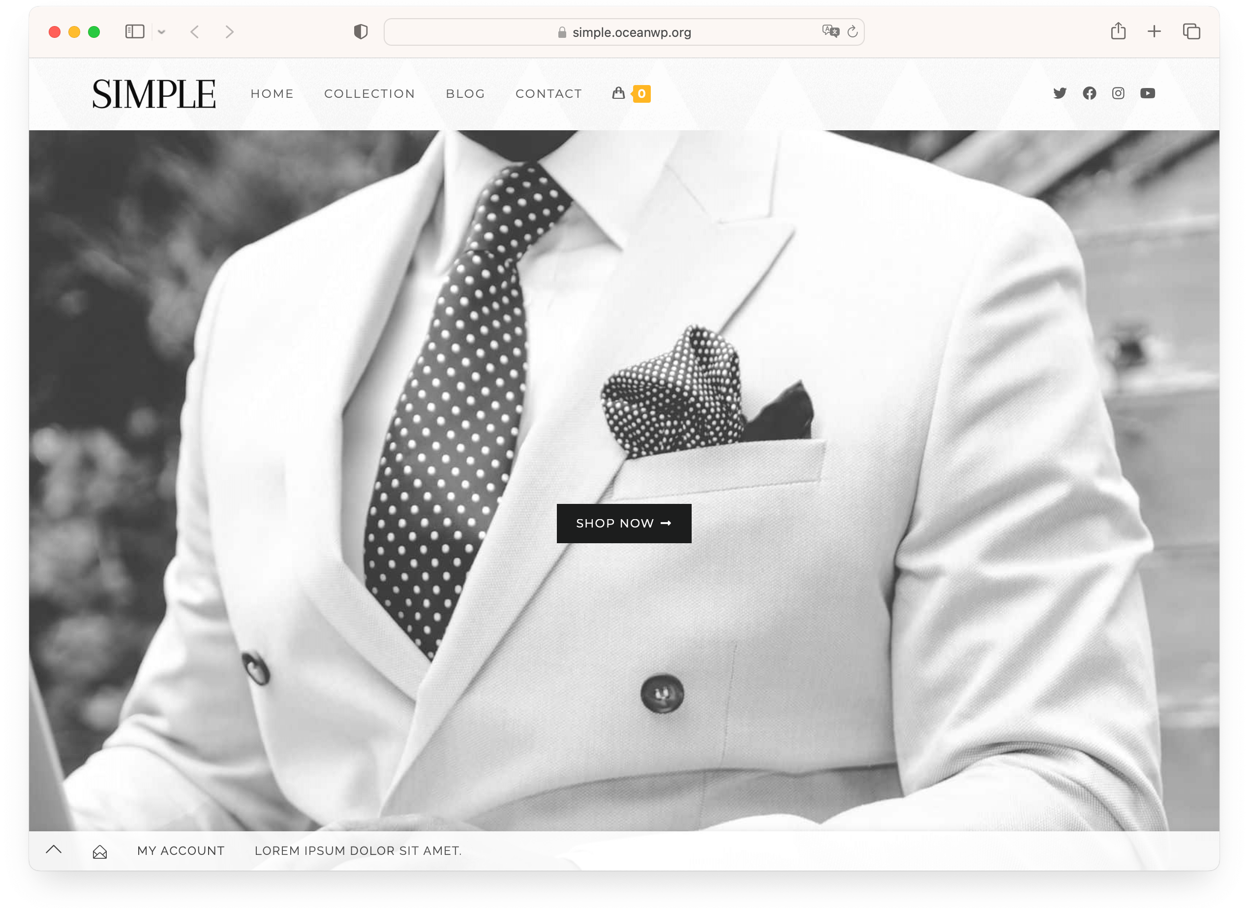 10 Best WordPress Themes for SEO in 2026 14 OceanWP theme