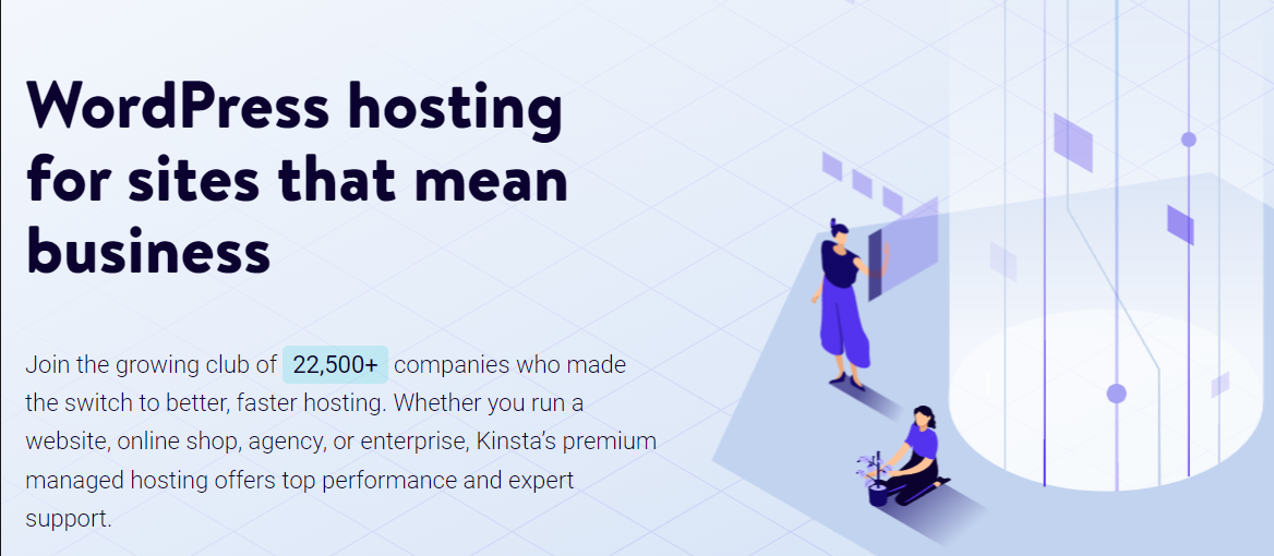 Kinsta homepage