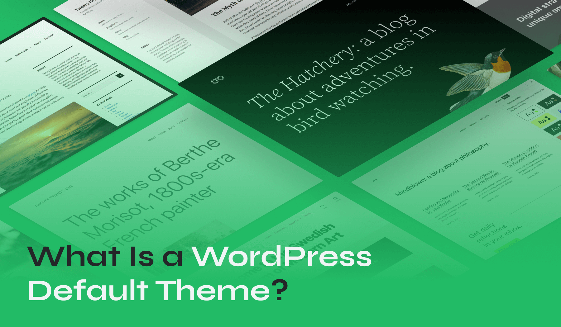 WordPress Default Theme