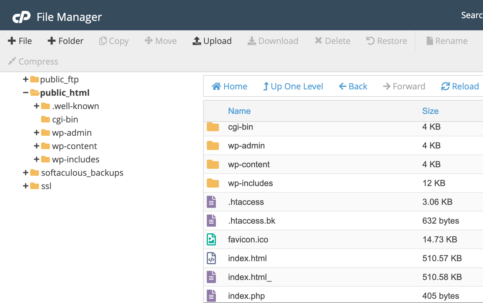 How to Reset Your WordPress Site Safely & Effectively 23 cPanel public_html folder