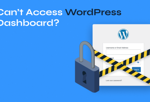Can't Access wp-admin