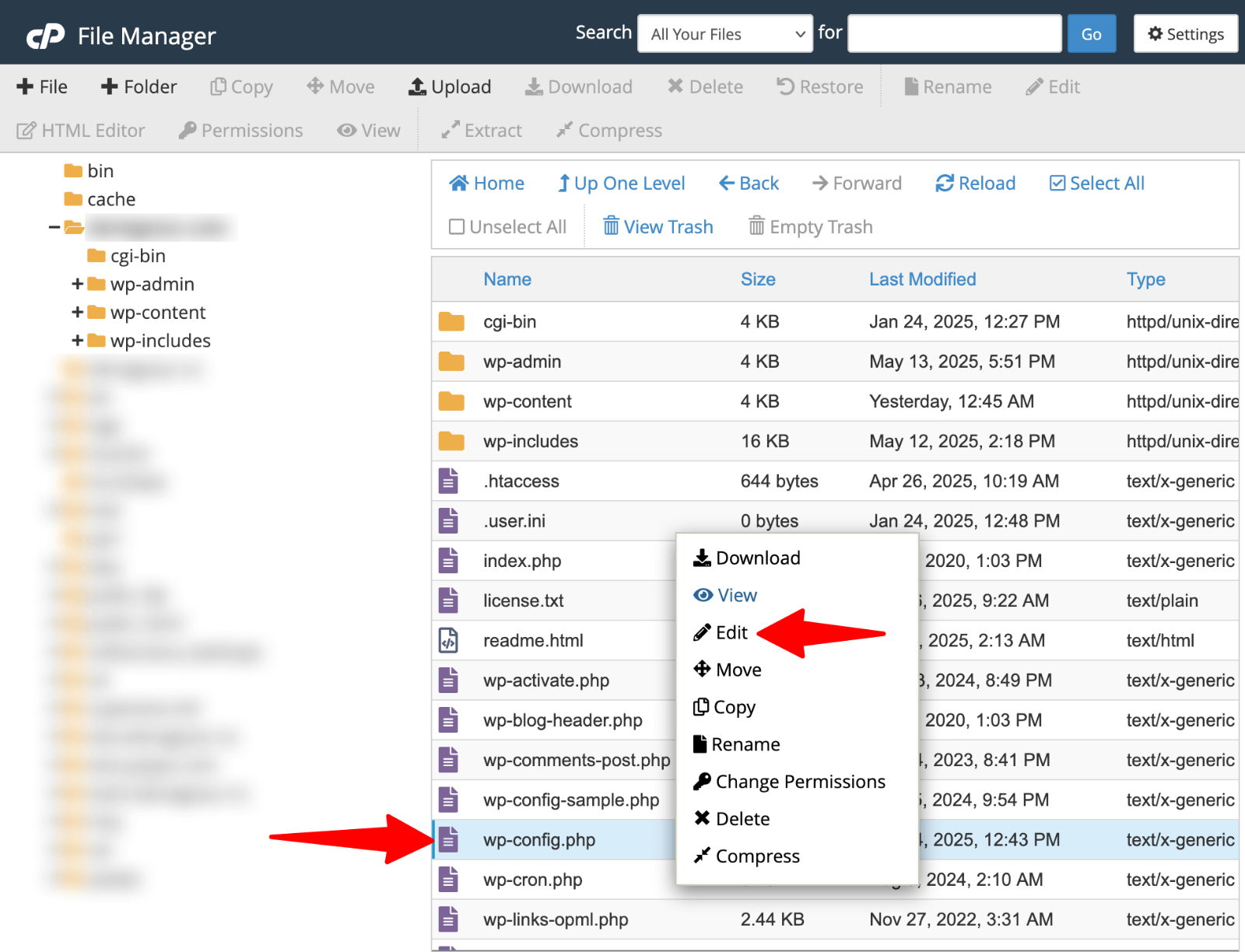 WordPress wp-config.php File: Beginner to Pro Guide 10 Edit wp-config.php in cPanel