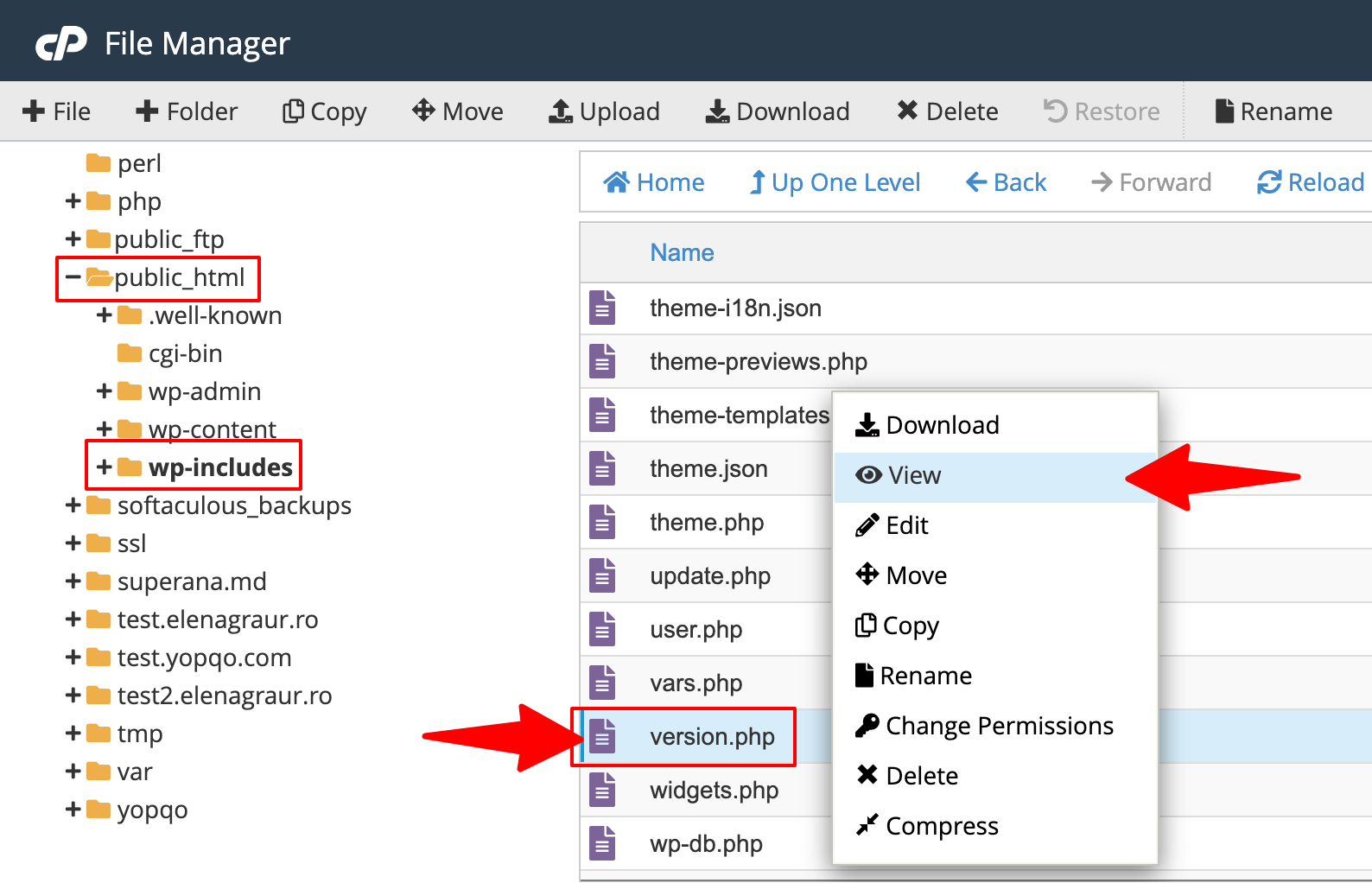 How to Check Your WordPress Version (4 Easy Ways) 22 Version.php in cPanel