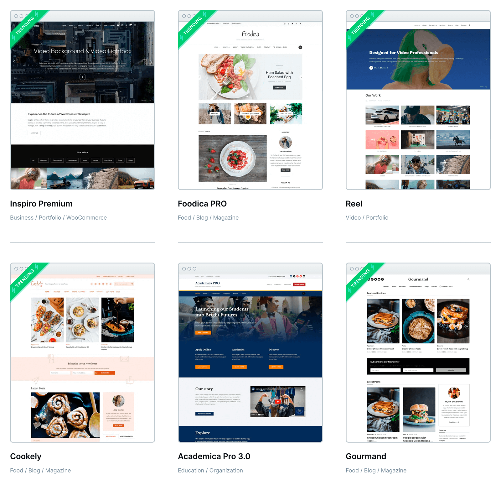 WordPress themes
