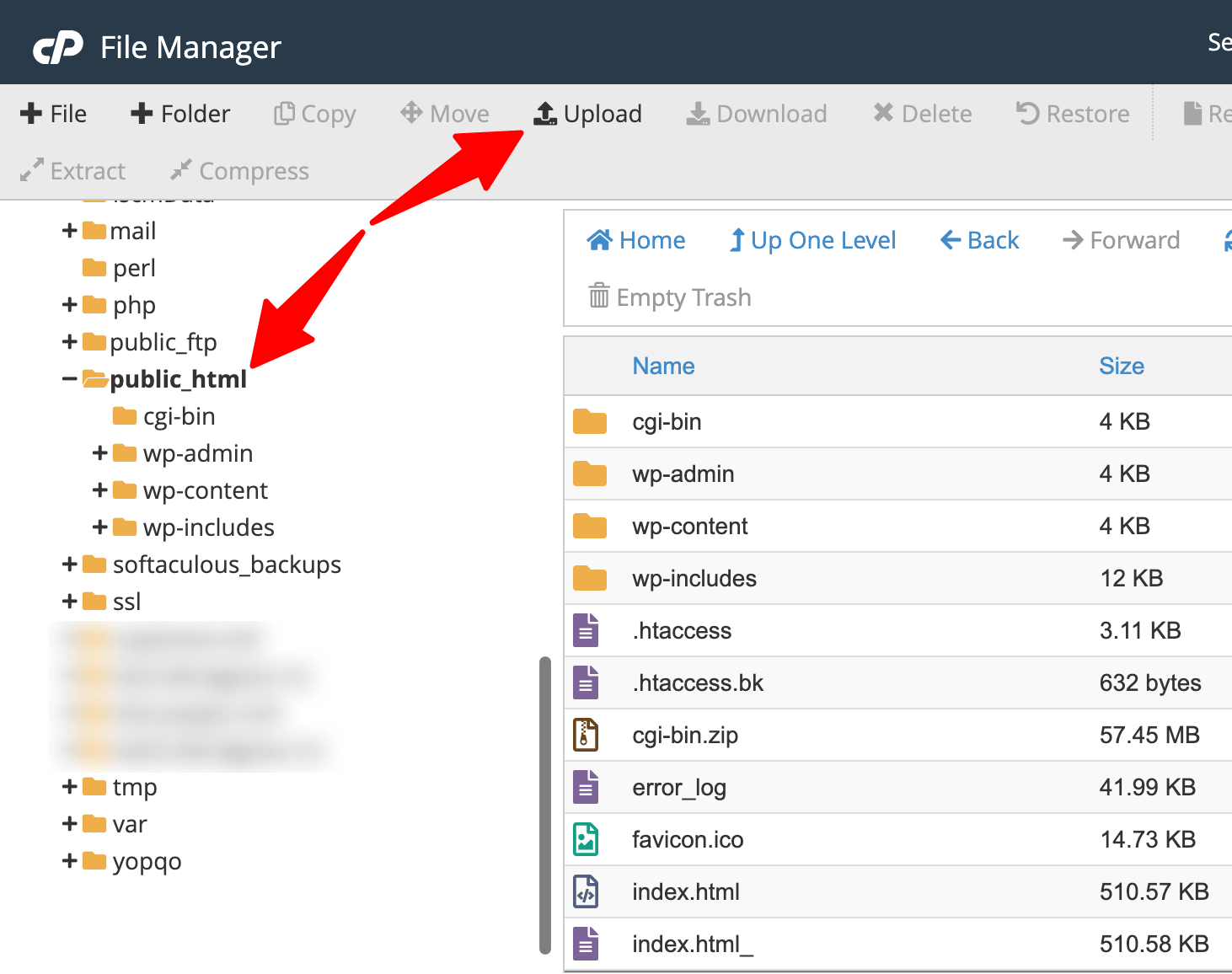 cPanel public_html folder