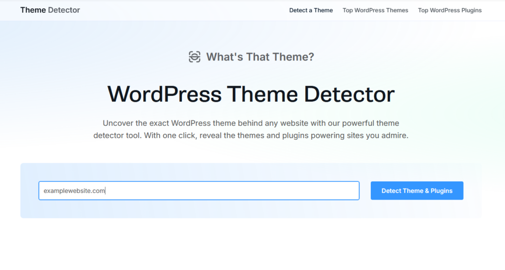 WP Theme Detector