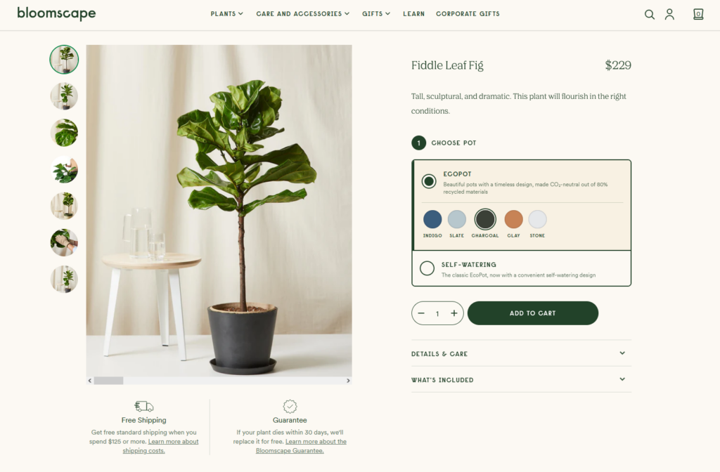 Bloomscape product page