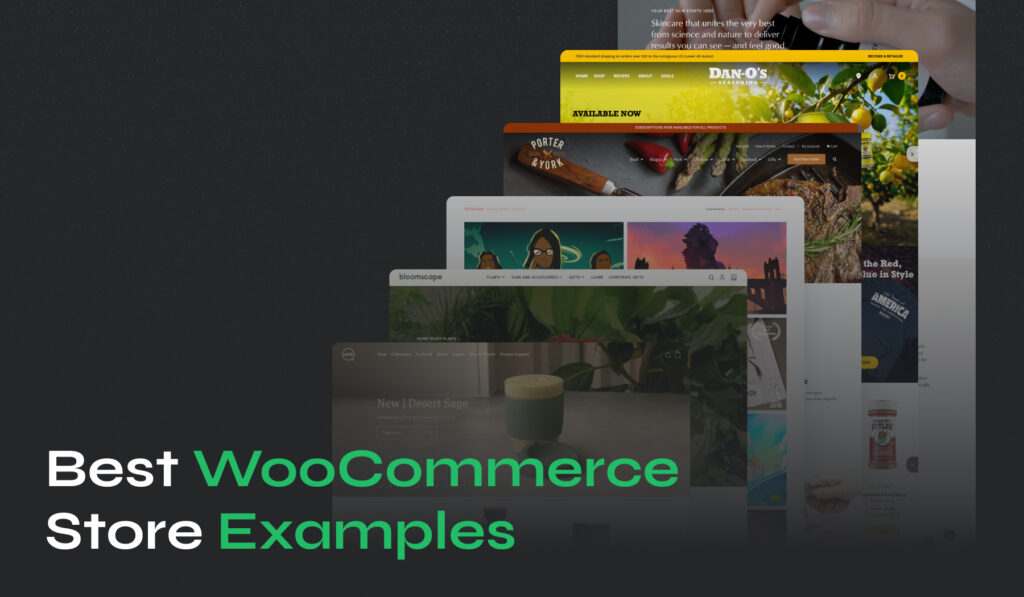 Best WooCommerce store examples