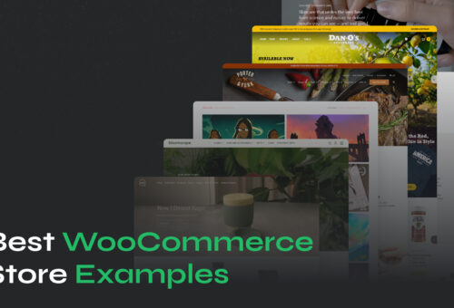 Best WooCommerce store examples