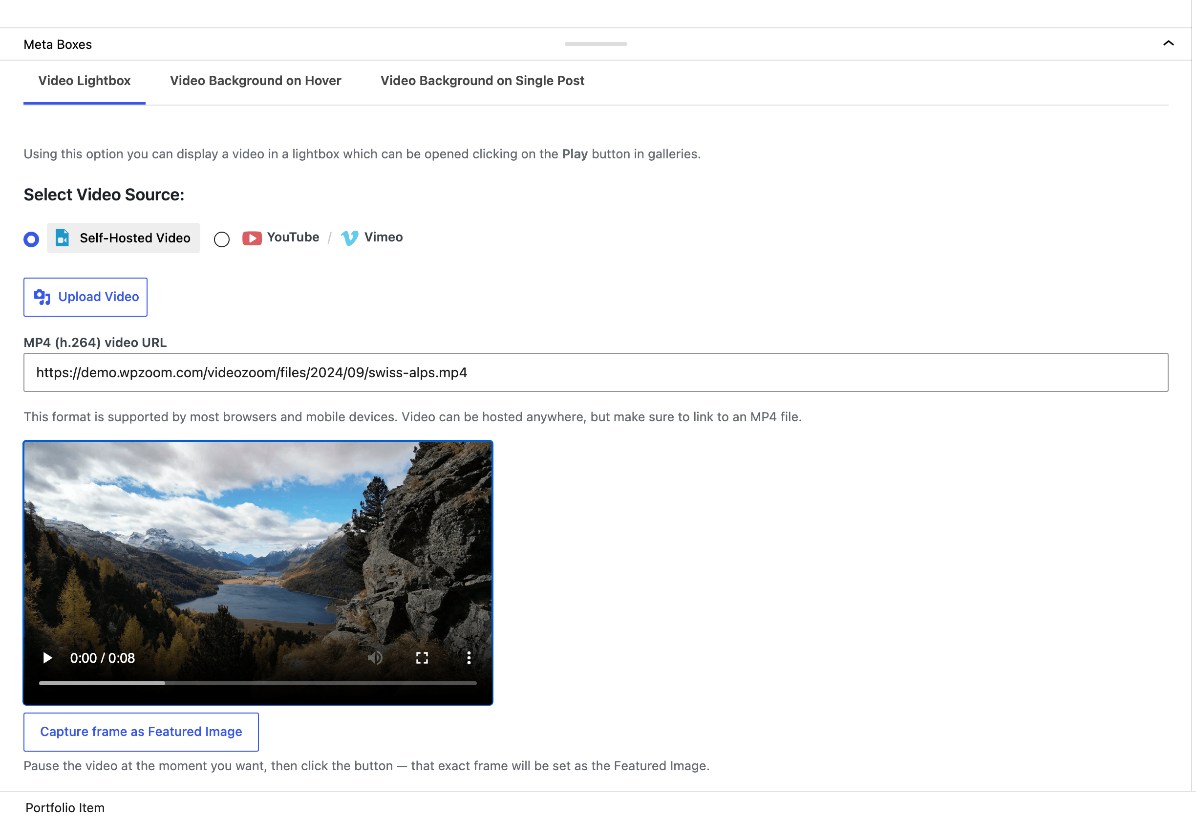 The Capture Frame tool in the Video Settings metabox