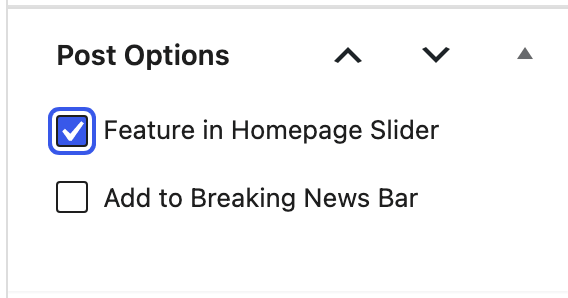 The Post Options box