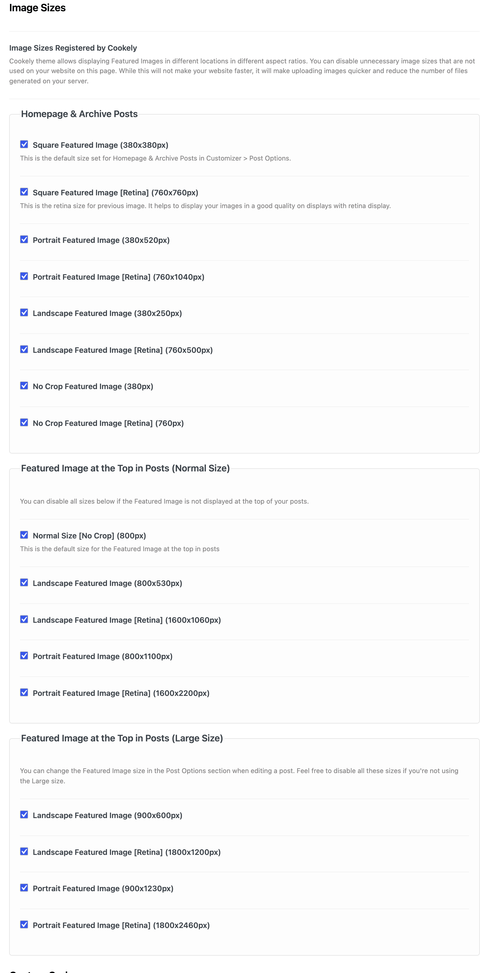 The Image Sizes panel in Theme Options → Optimization
