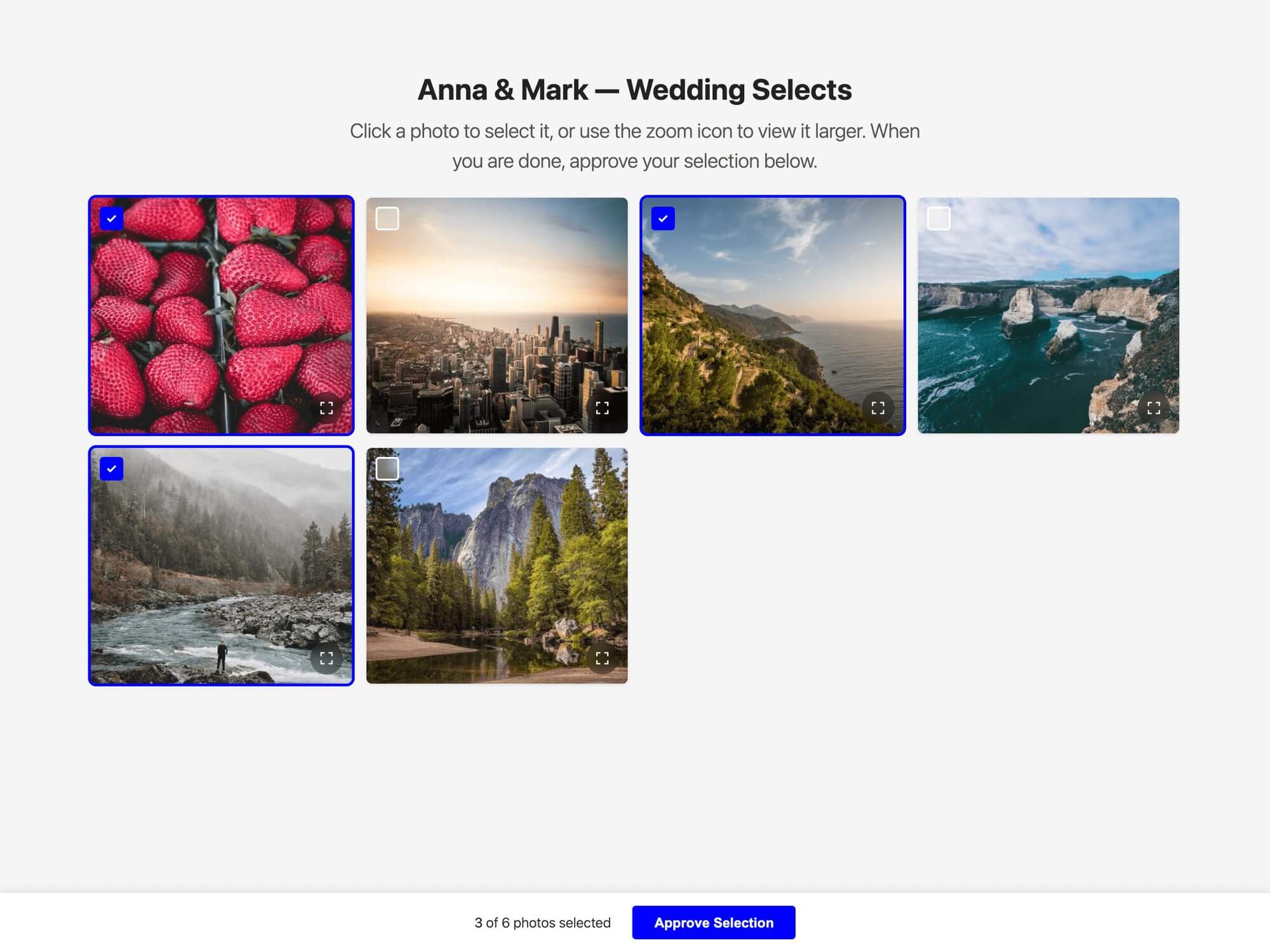 A client selecting photos in a proofing gallery